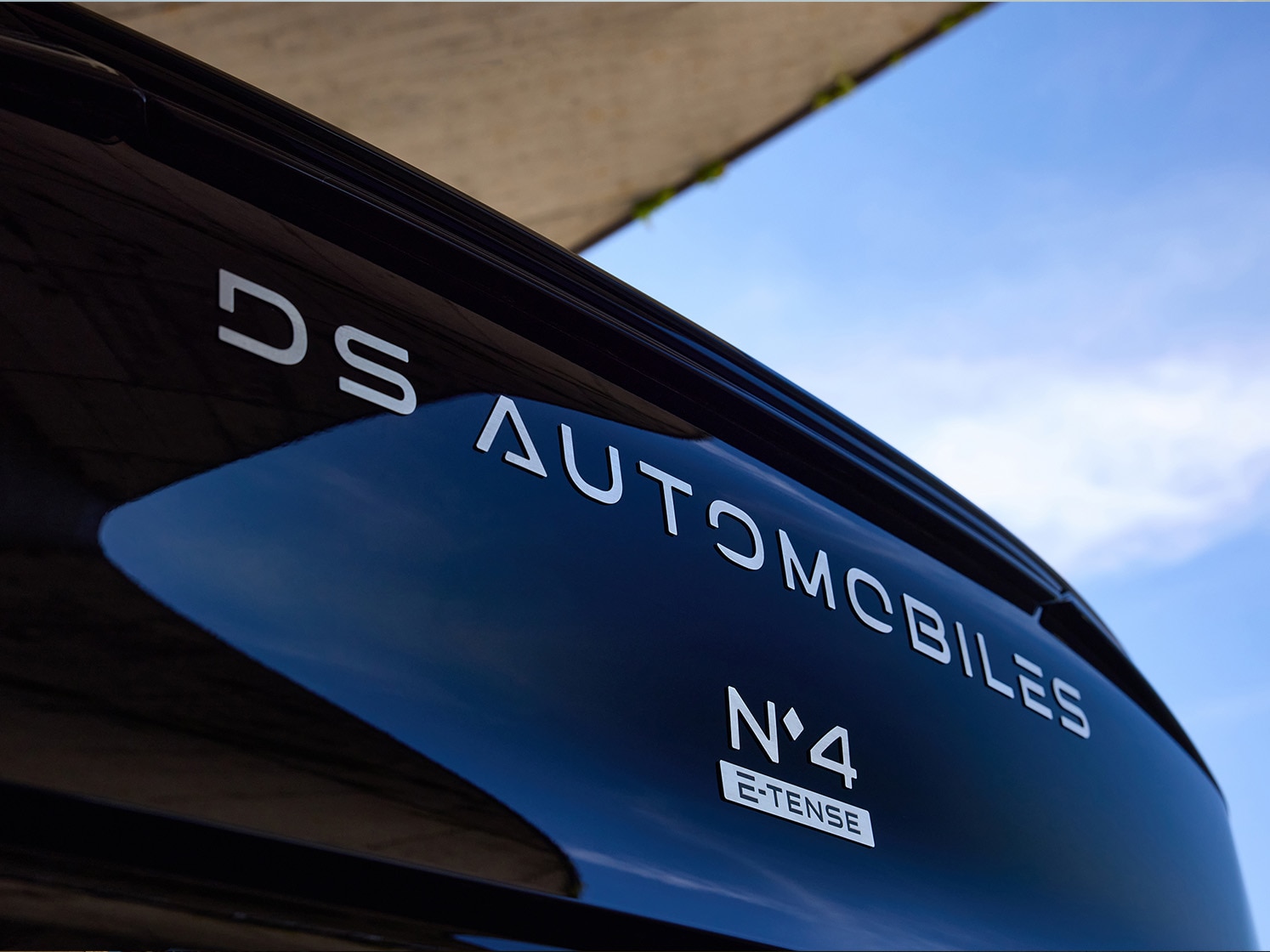 arrière sublimé N°4