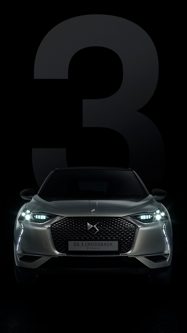 Novo DS 3